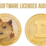 doge software licenses audit hud